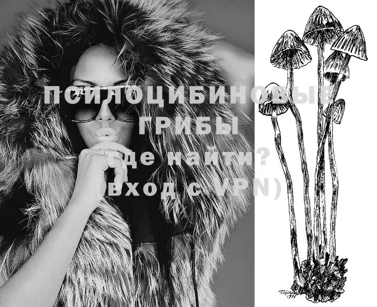 даркнет сайт  Магадан  Псилоцибиновые грибы Psilocybe 